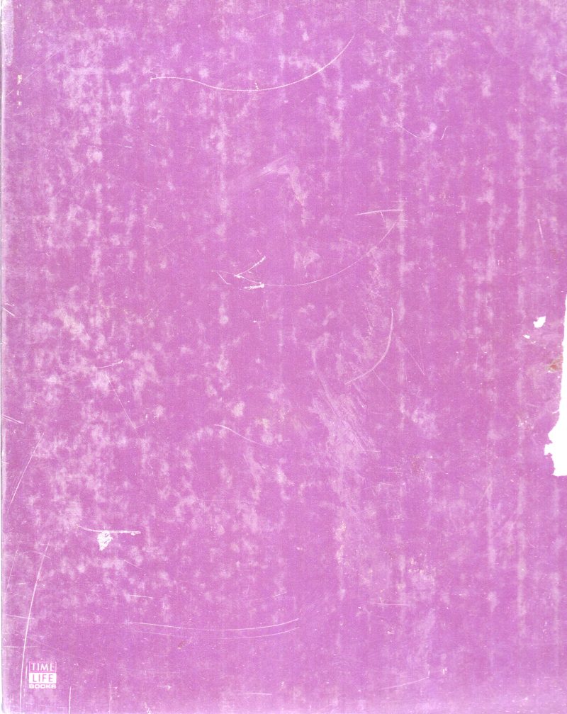 THE ROLE OF THE BRAIN BY RONALD H. BAILEY - Image 2