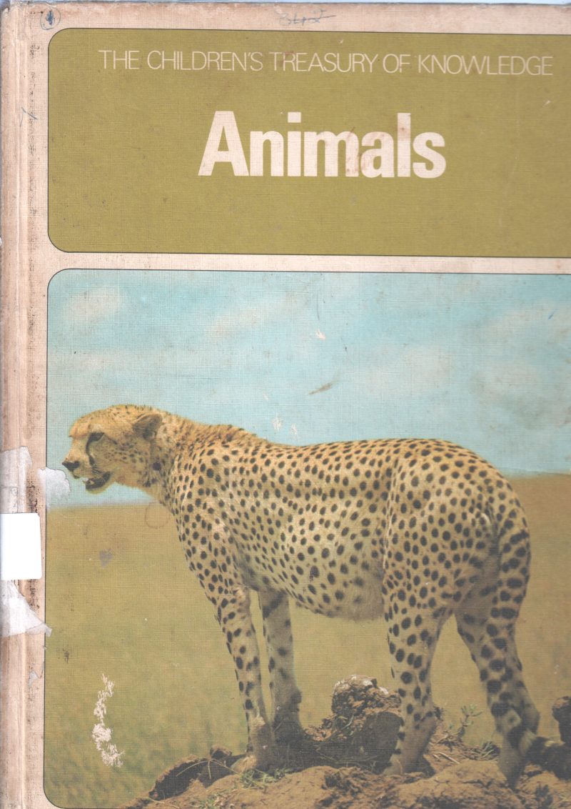 ANIMALS BY YOSHINORI