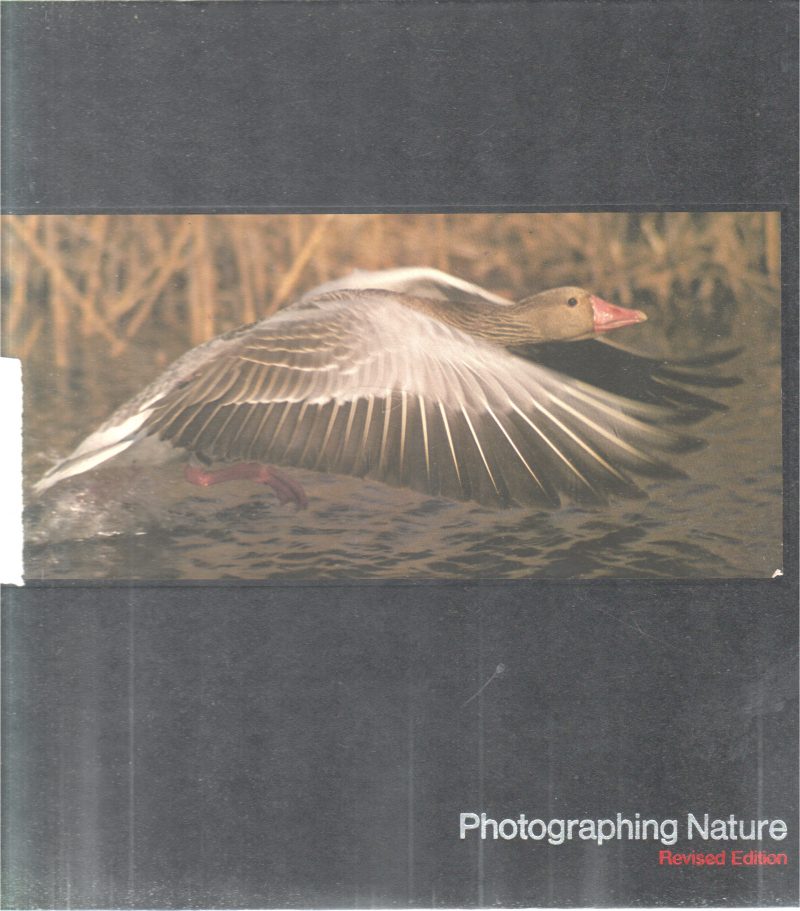 PHOTOGRAPHING NATURE