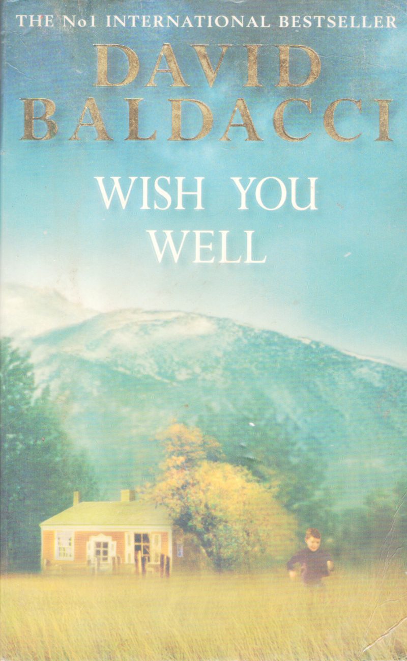 WISH YOU WELL BY DAVID BALDACCI