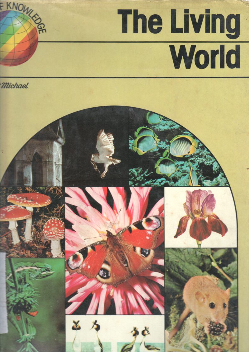 THE LIVING WORLD BY CATHY KILPATRICK