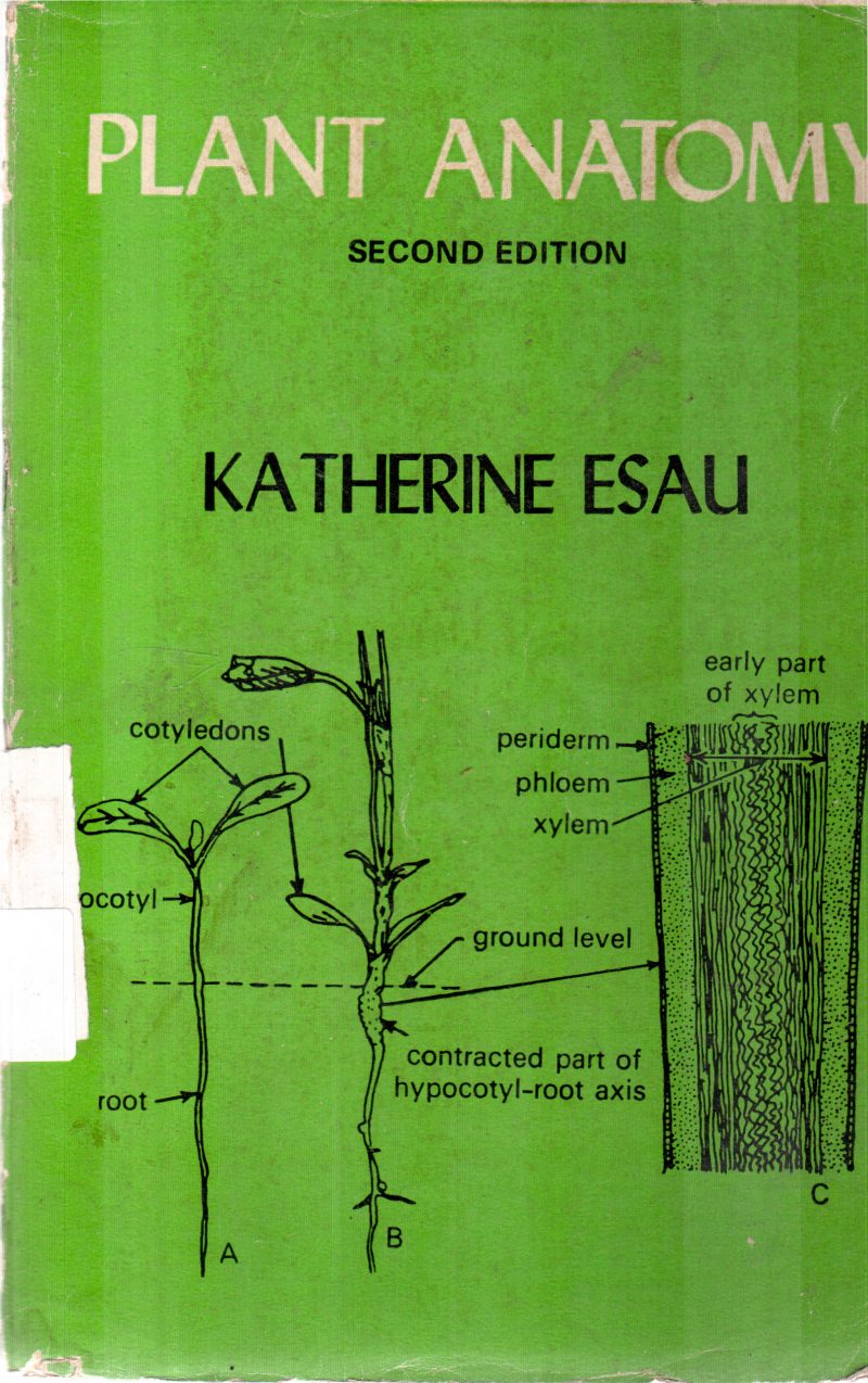 PLANT ANATOMY BY CATHERINE ESAU