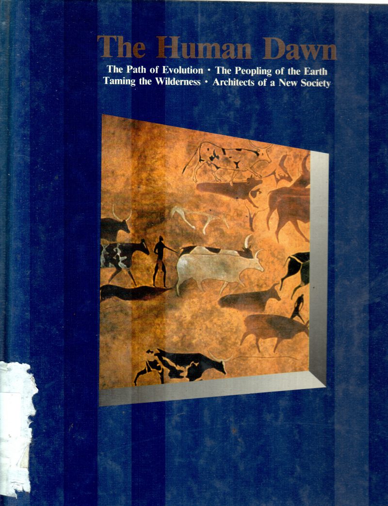 THE HUMAN DAWN BY ELLEN PHILIPS