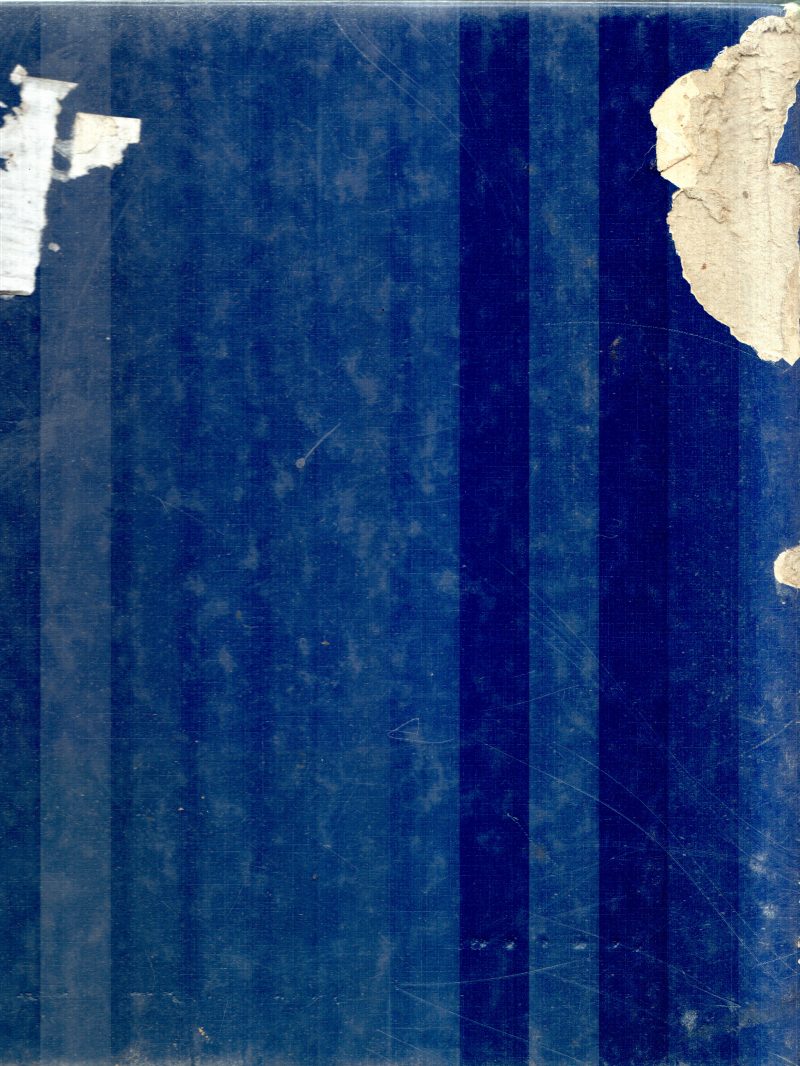 SHADOWS OF THE DICTATORS BY ELLEN PHILIPS - Image 2