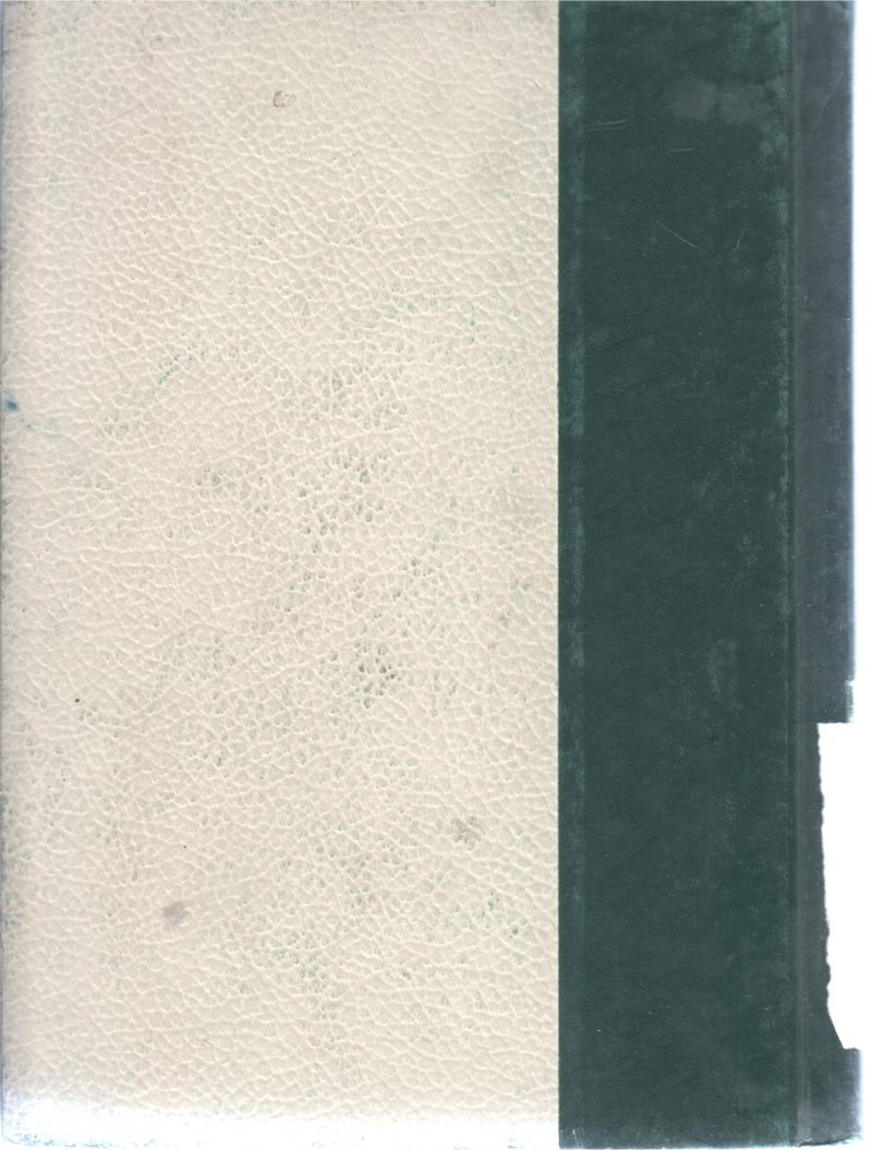 THE WORLD ENCYCLOPEDIA VOL12 - Image 2