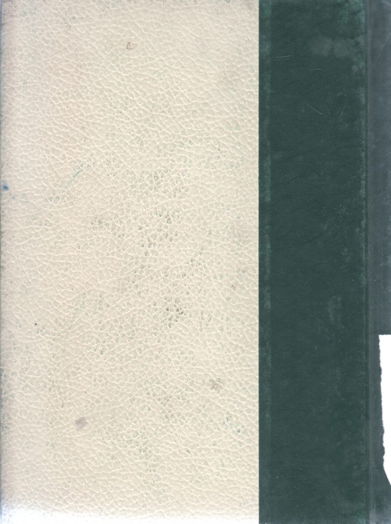 THE WORLD ENCYCLOPEDIA VOL11 - Image 2