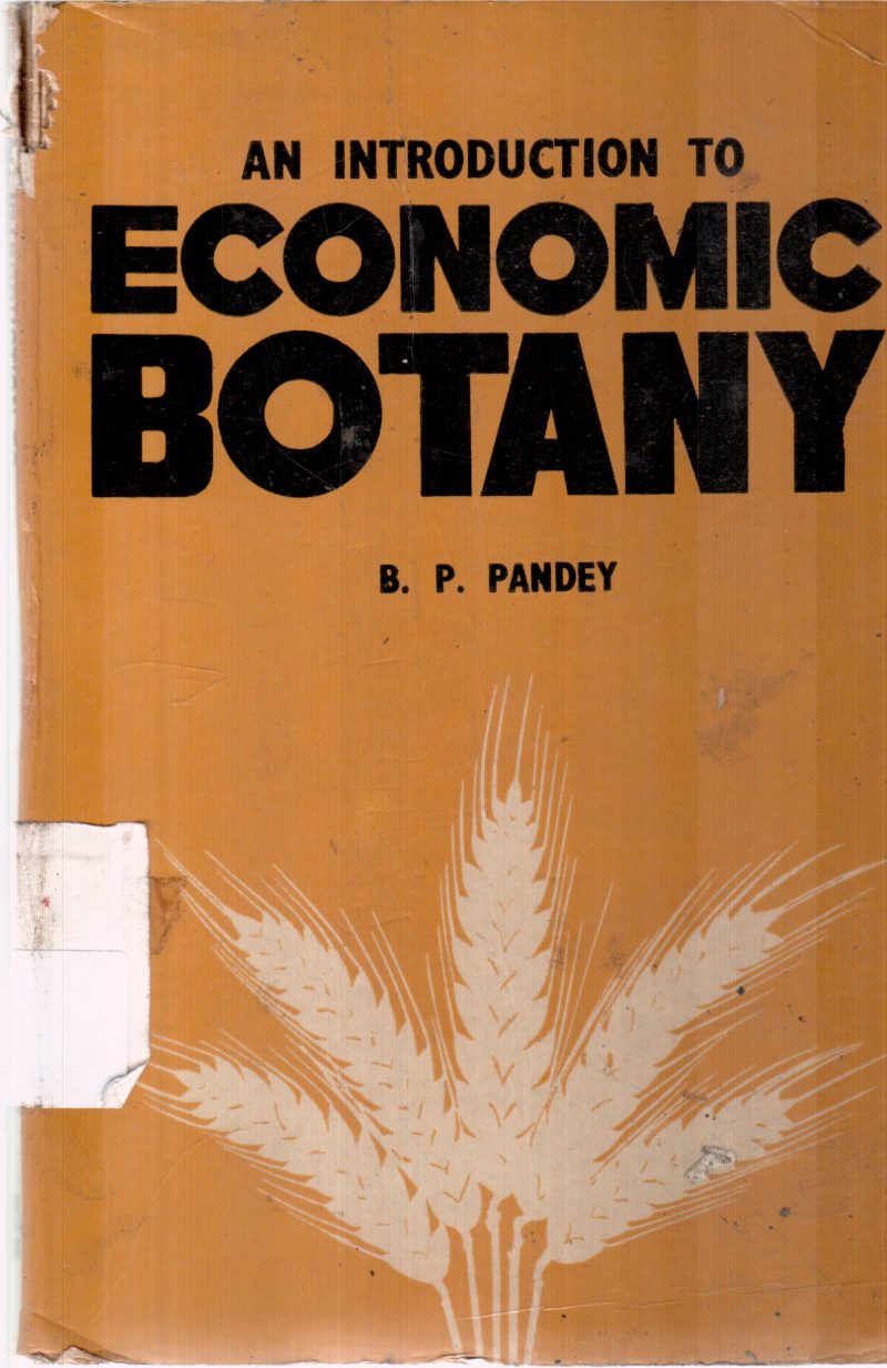 AN INITRODUCTION TO ECONOMY BY B P PANDEY