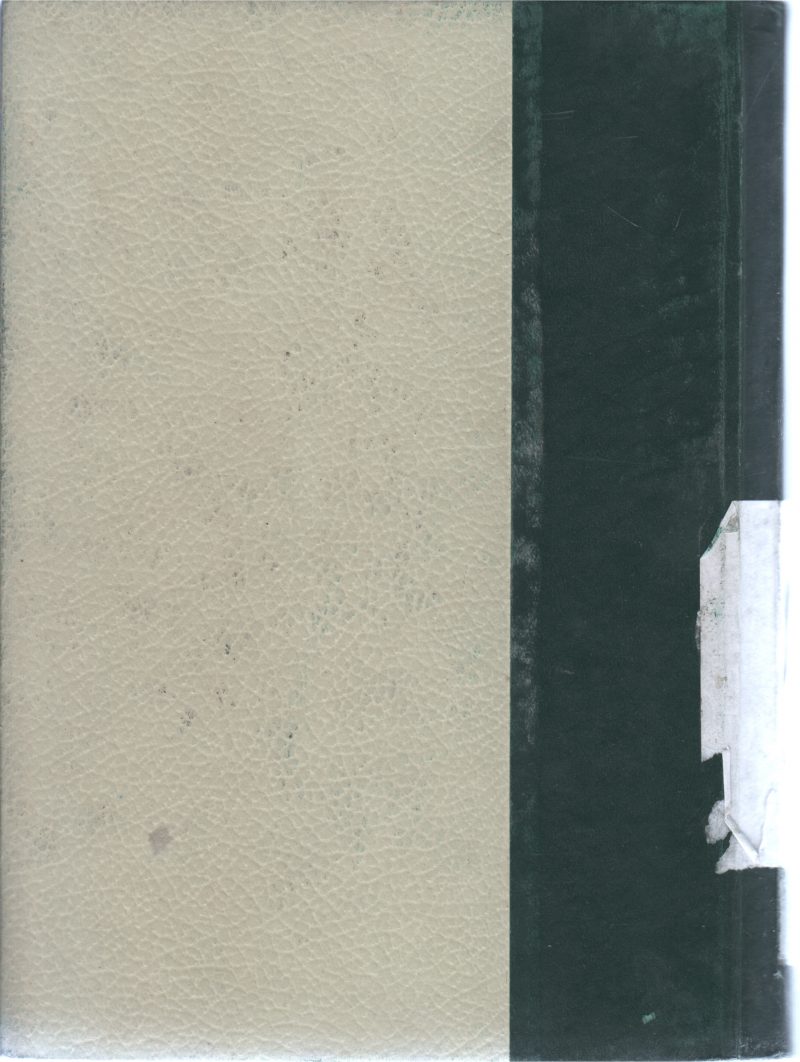 THE WROLD ENCYCLOPEDIA - Image 2