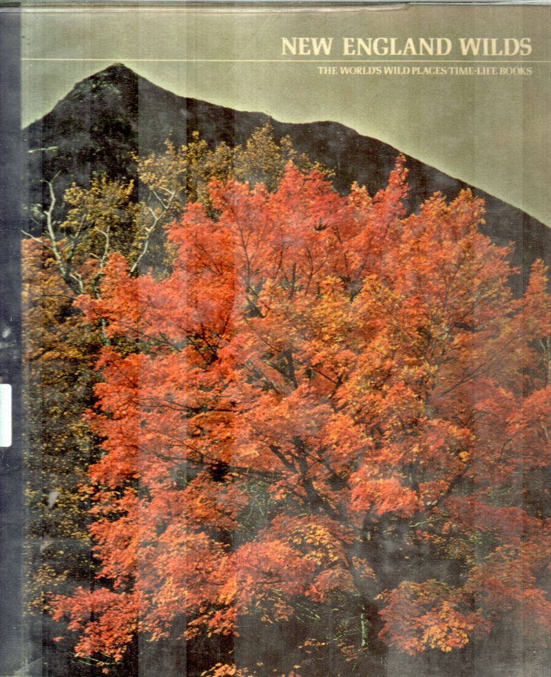 NEW ENGLAND WILDS BY OGDAN TANNER