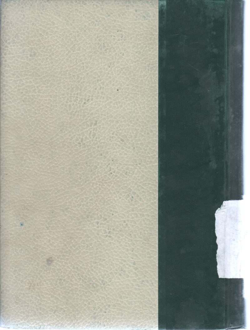 THE WORLD ENCYCLOPEDIA VOL 8 - Image 2