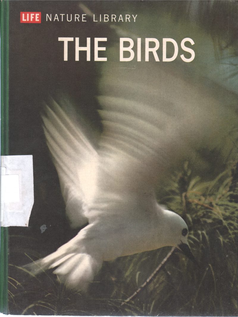 THE BIRDS BY ROGER TORY PETERSON
