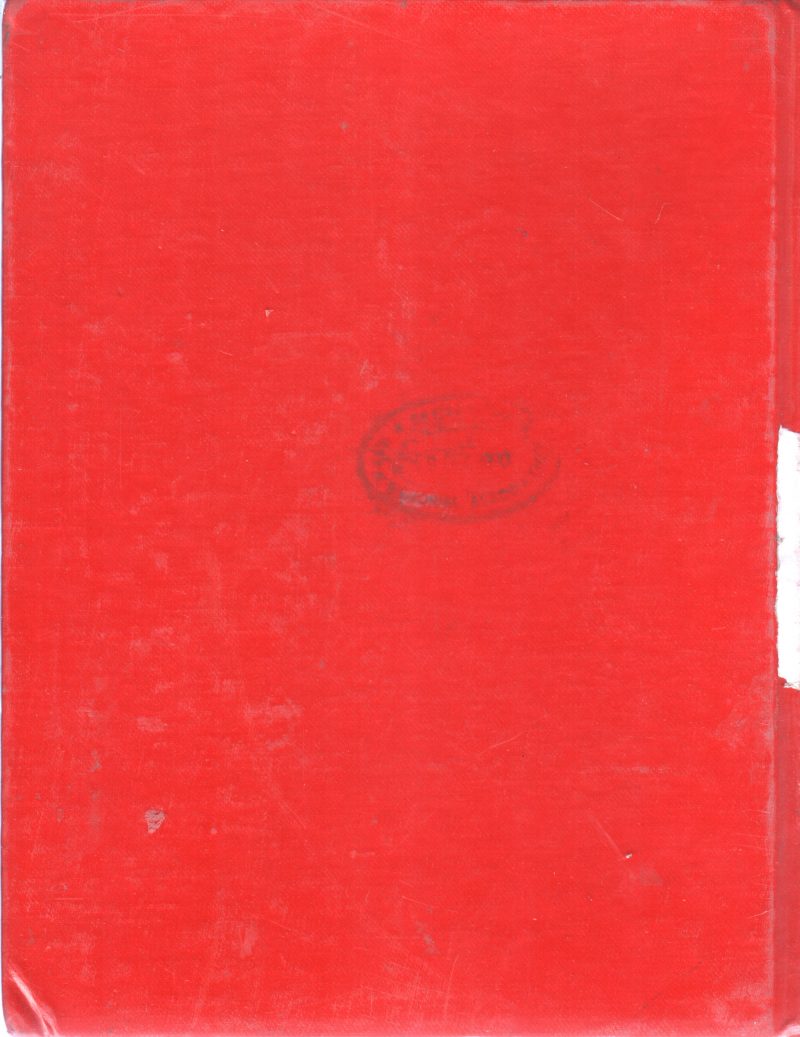 ILLUSTRATED ENGLISH MALAYALAM TAMIL HINDI ARABIC DICTIONARY - Image 2
