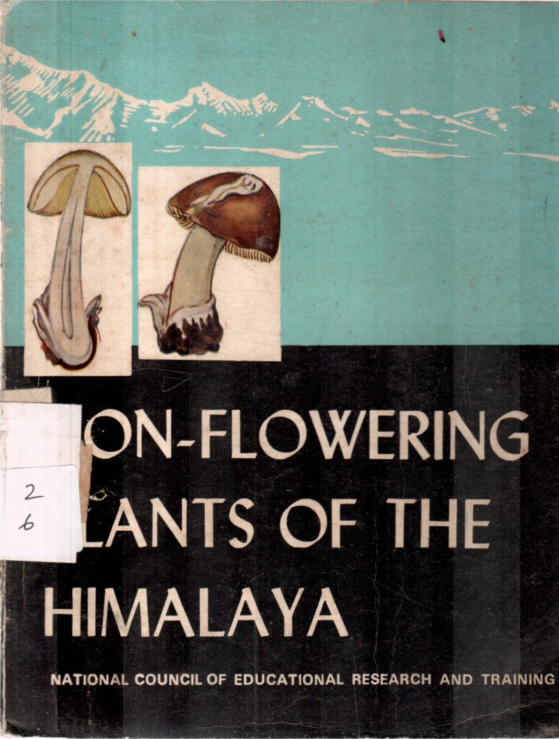ON FLOWERING PLANTS OF INDIA BY M A RAU