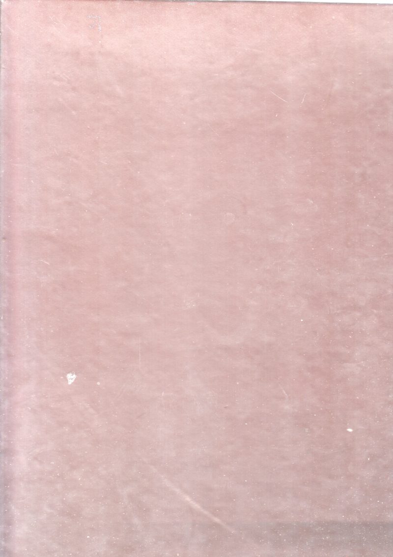 THE JAYAKAR VOLUMES - Image 2