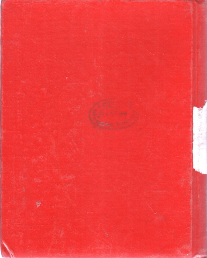 ILLUSTRATED ENGLISH MALAYALAM TAMIL HINDI ARABIC DICTIONARY - Image 2