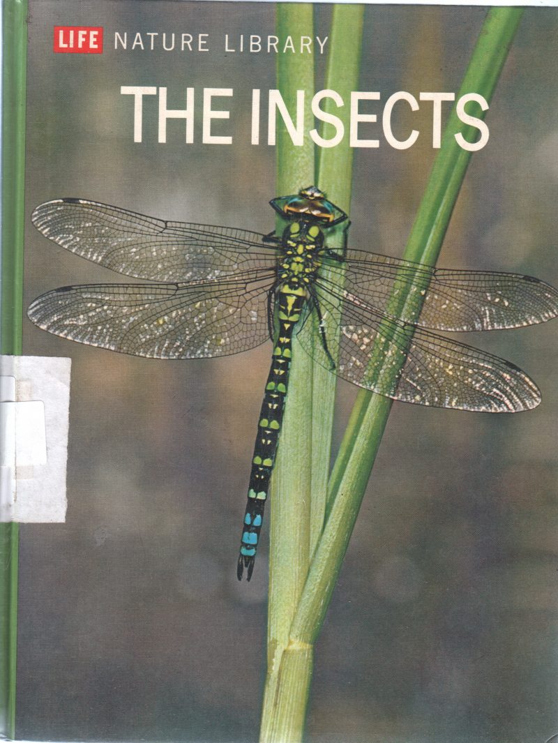 THE INSECTS BY PETER FARB