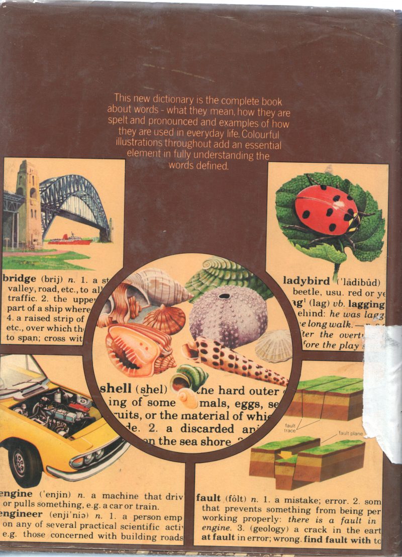 CHILDREN'S DICTIONARY BY PATRICK HANKS - Image 2