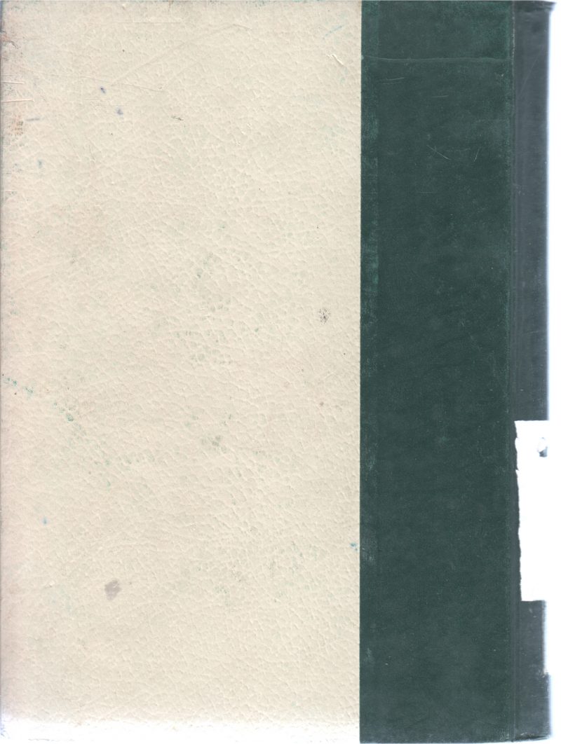 THE WORLD ENCYCLOPEDIA VOL4 - Image 2