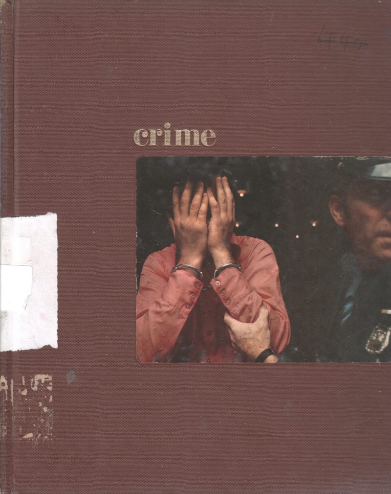 CRIME BY VIRGINA ADAMS