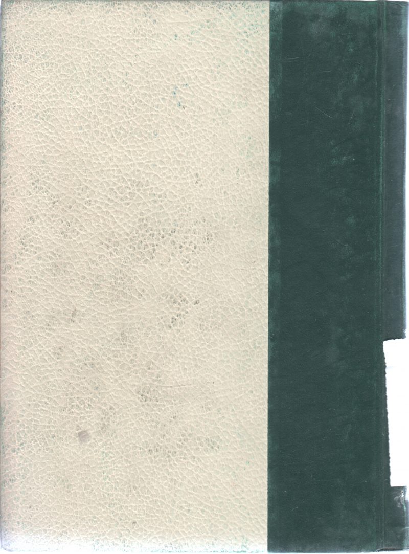 THE WORLD ENCYCLOPEDIA VOL 3 - Image 2