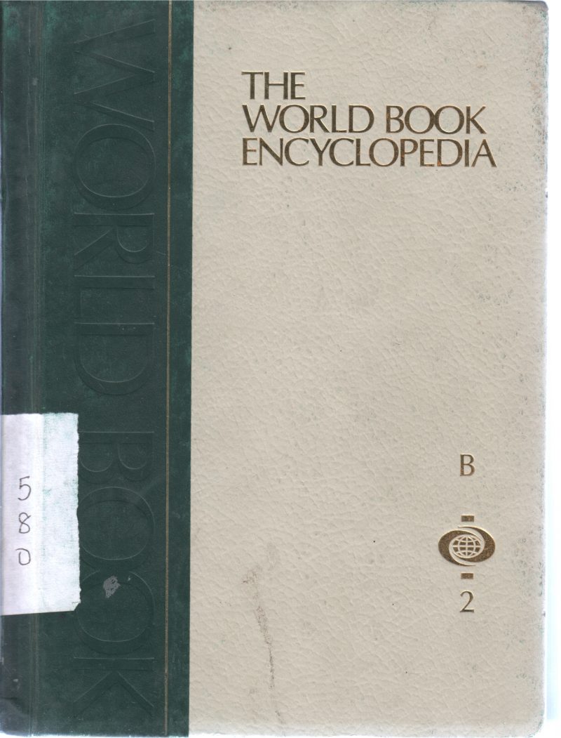 THE WORLD ENCYCLOPEDIA VOL2