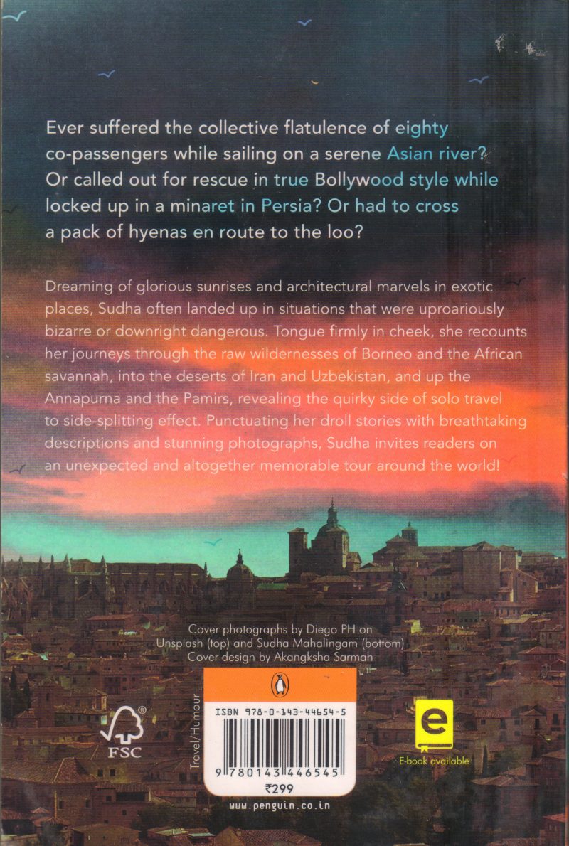 THE TRAVEL GODS MUST BE CRAZY BY SUDHA MAHALINGAM - Image 2