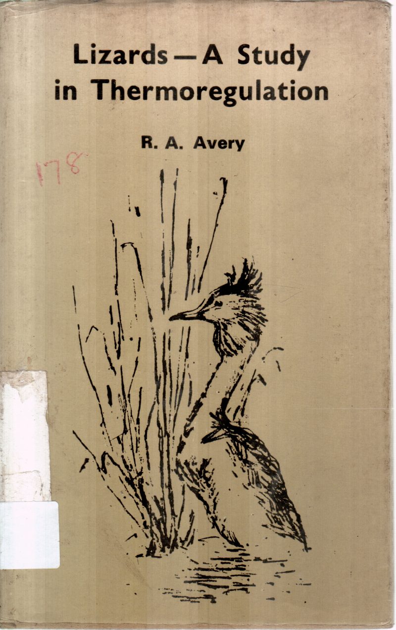 LIZARD A STUDY IN THERMOREGULATION BY R.A.AVERY