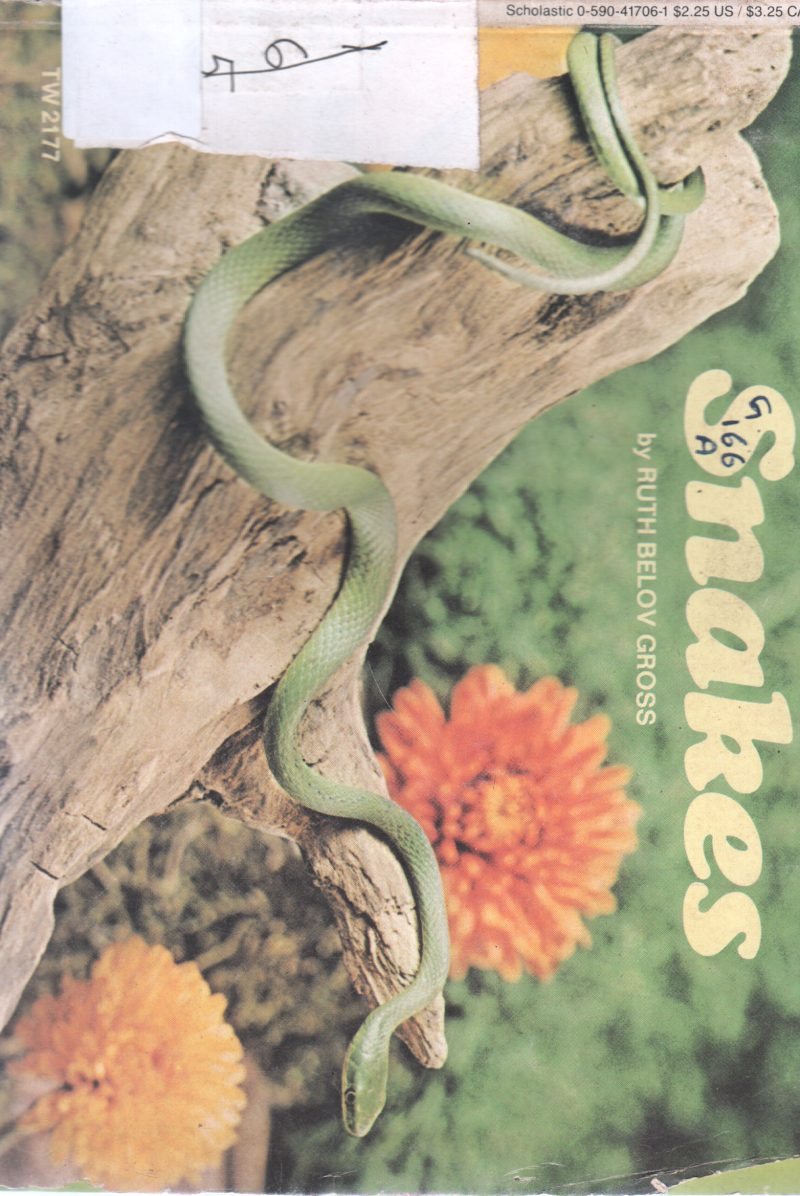 SNAKES BY RUTH BELOV GROSS