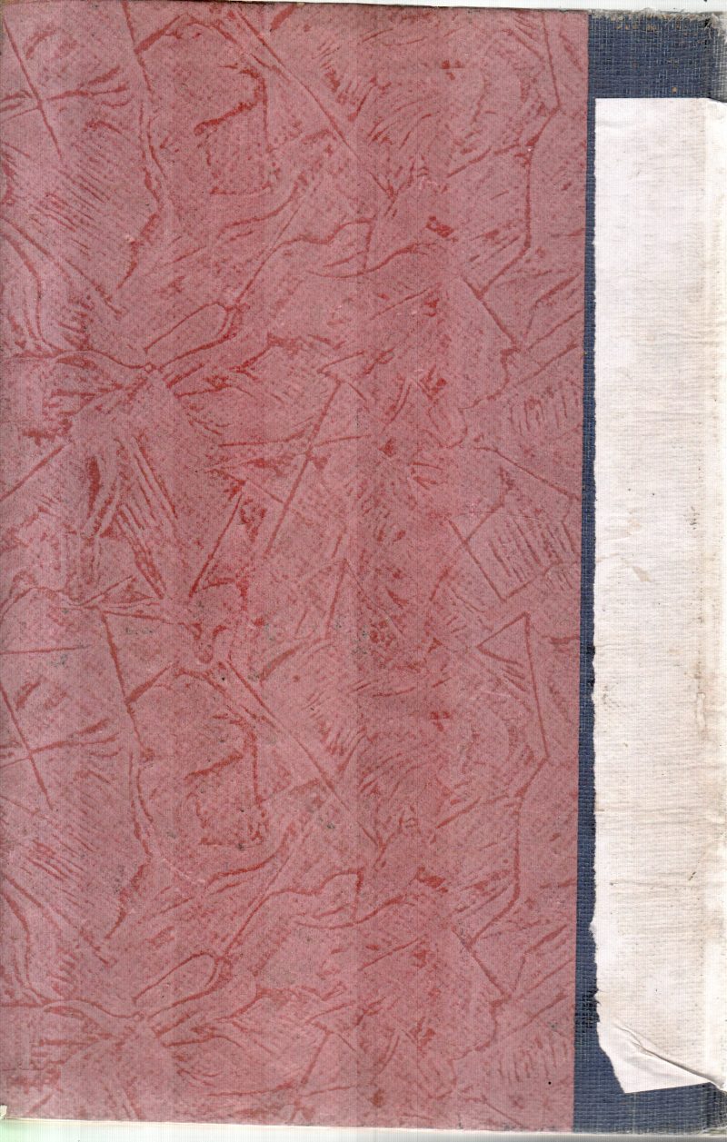 INDIA 1988-89 - Image 2