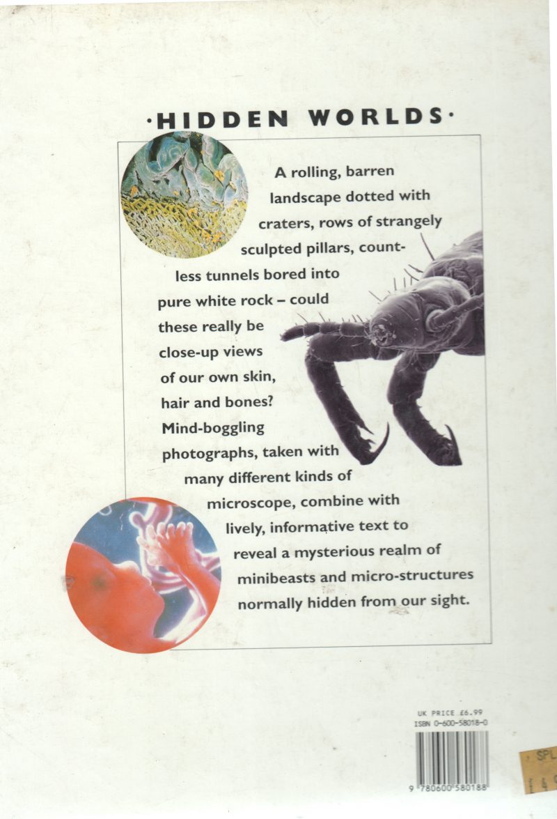 THE HUMAN BODY BY JANE SONGI - Image 2