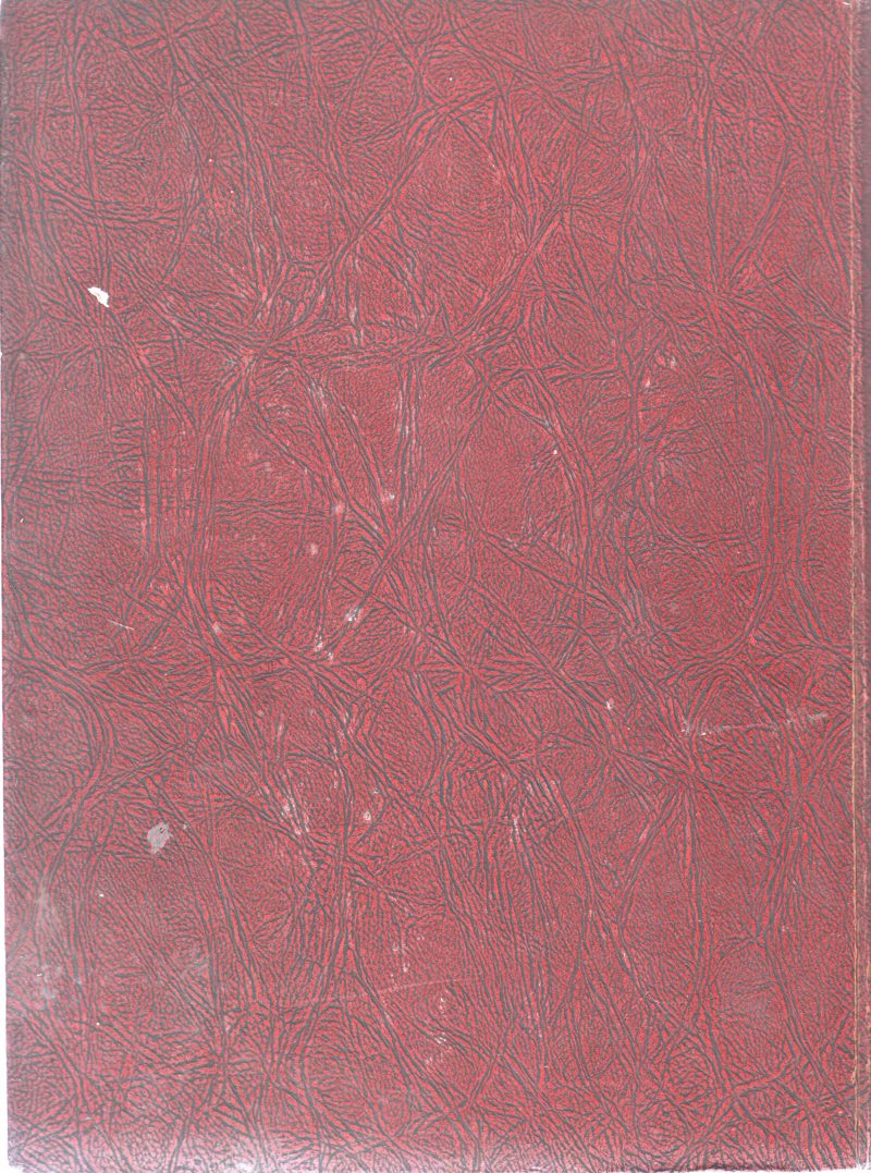 ENCYCLOPEDIA BRITANNICA VOLUME 9 BY WILLIAM BENTON BY WILLIAM BENTON - Image 2