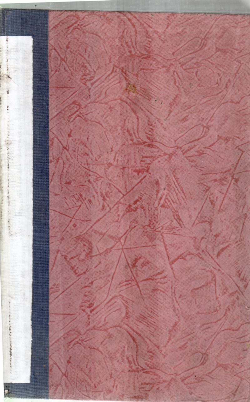 INDIA 1988-89
