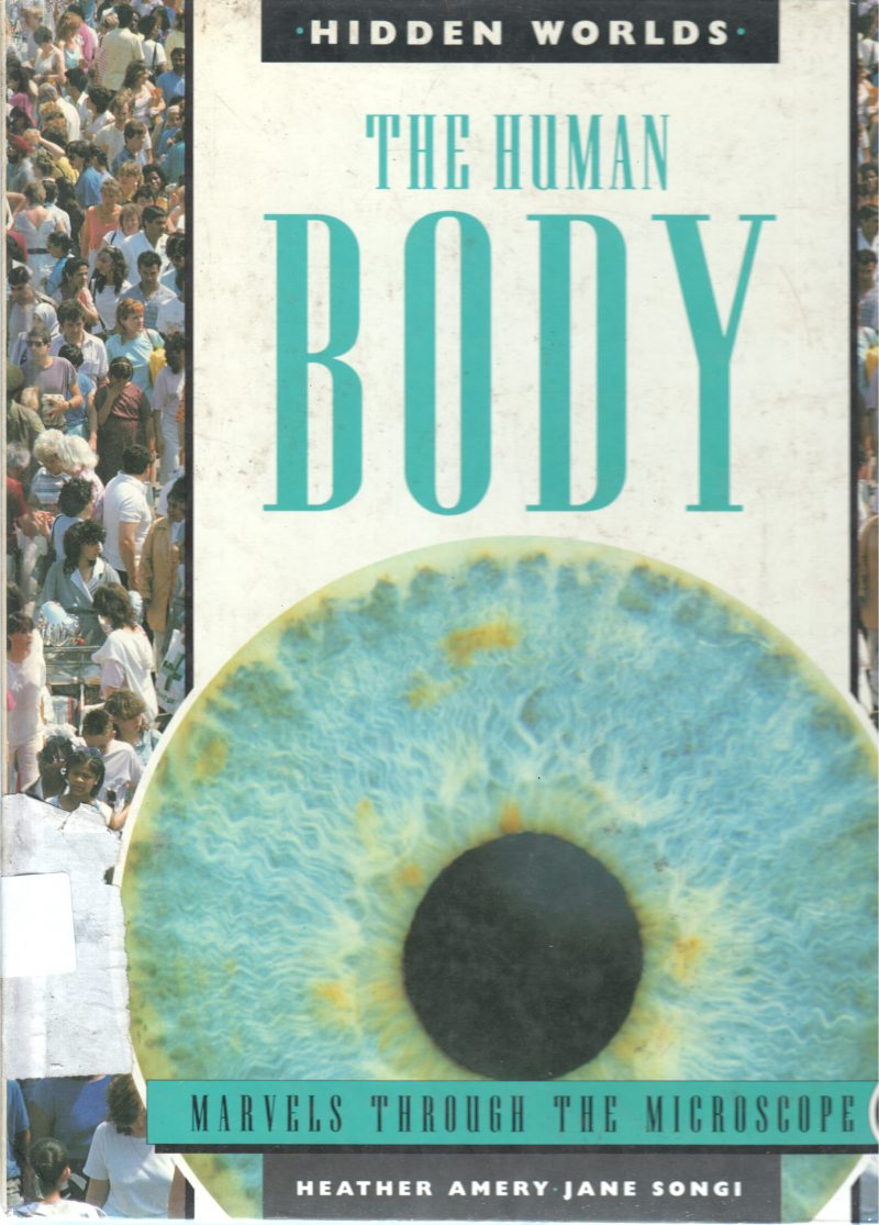THE HUMAN BODY BY JANE SONGI