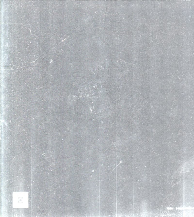 THE PRINT - Image 2