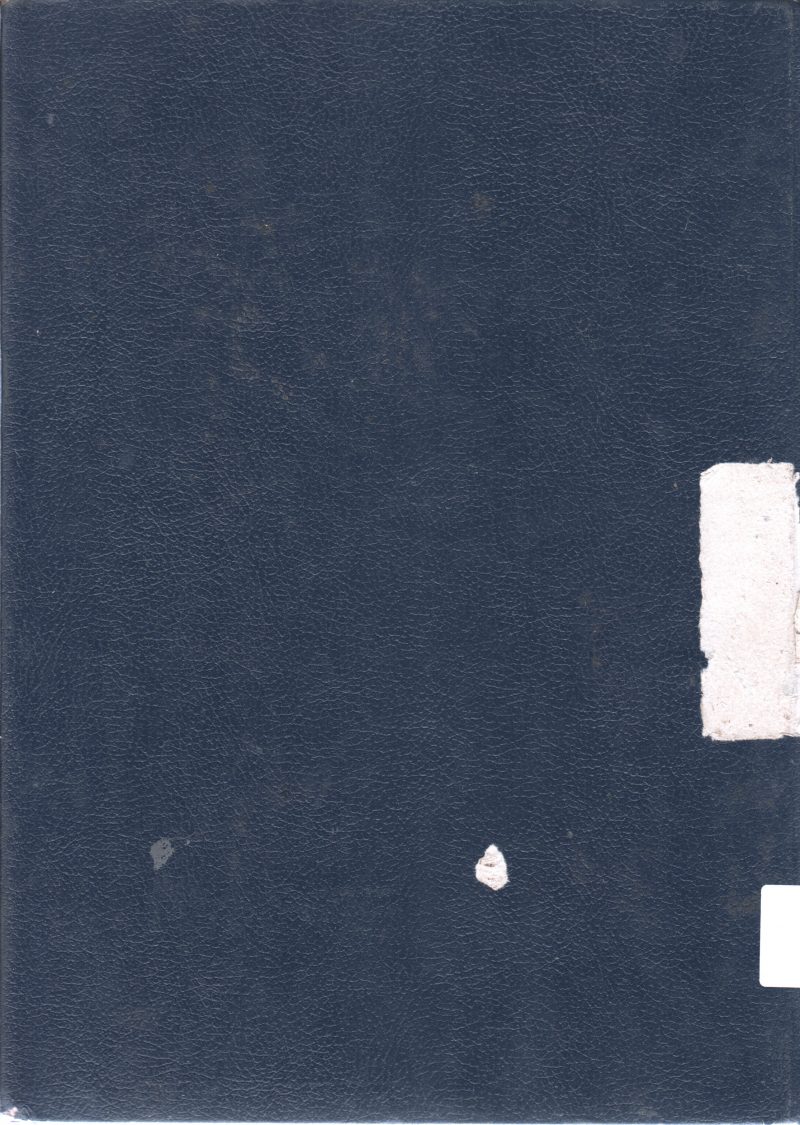 THE FROZEN WORLD BY THAYER WILLIS - Image 2