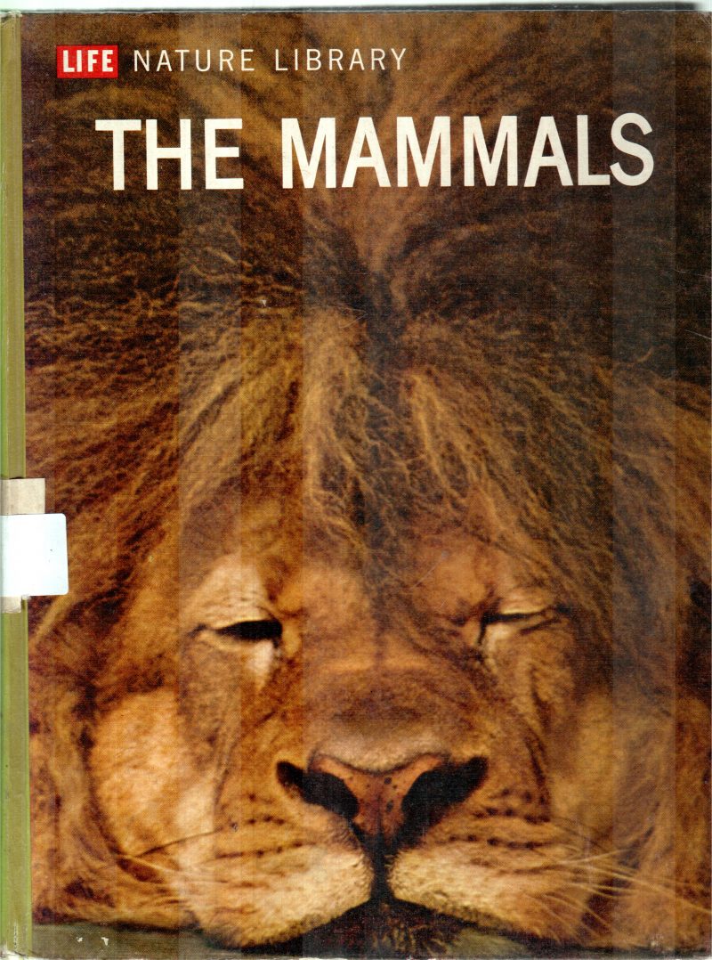 THE MAMMALS BY RICHARD CARRINGTON