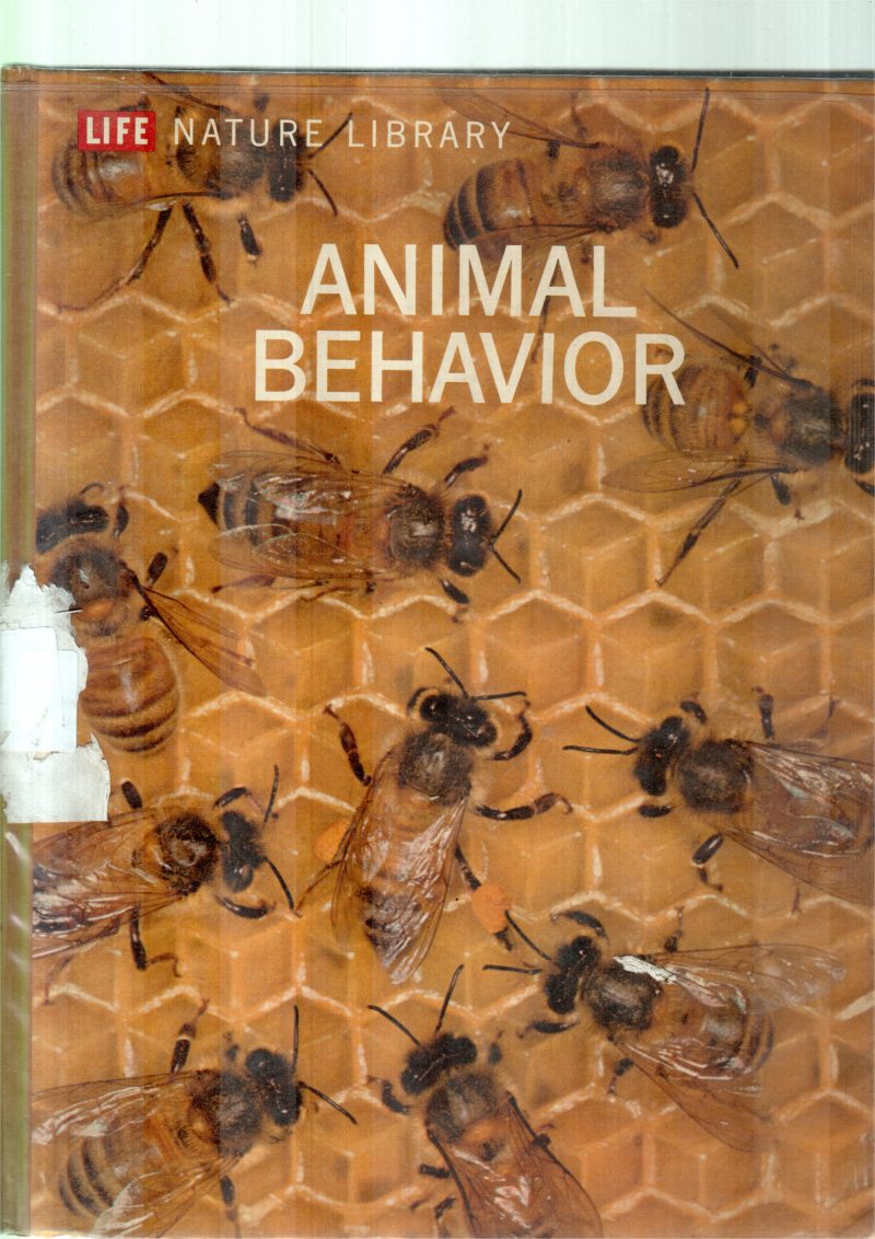 ANIMALS BEHAVIOR BY NIKO TINBERGEN