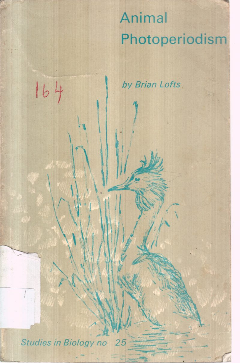 ANIMAL PHOTOPERIODISM BY BRAIN LOFTS