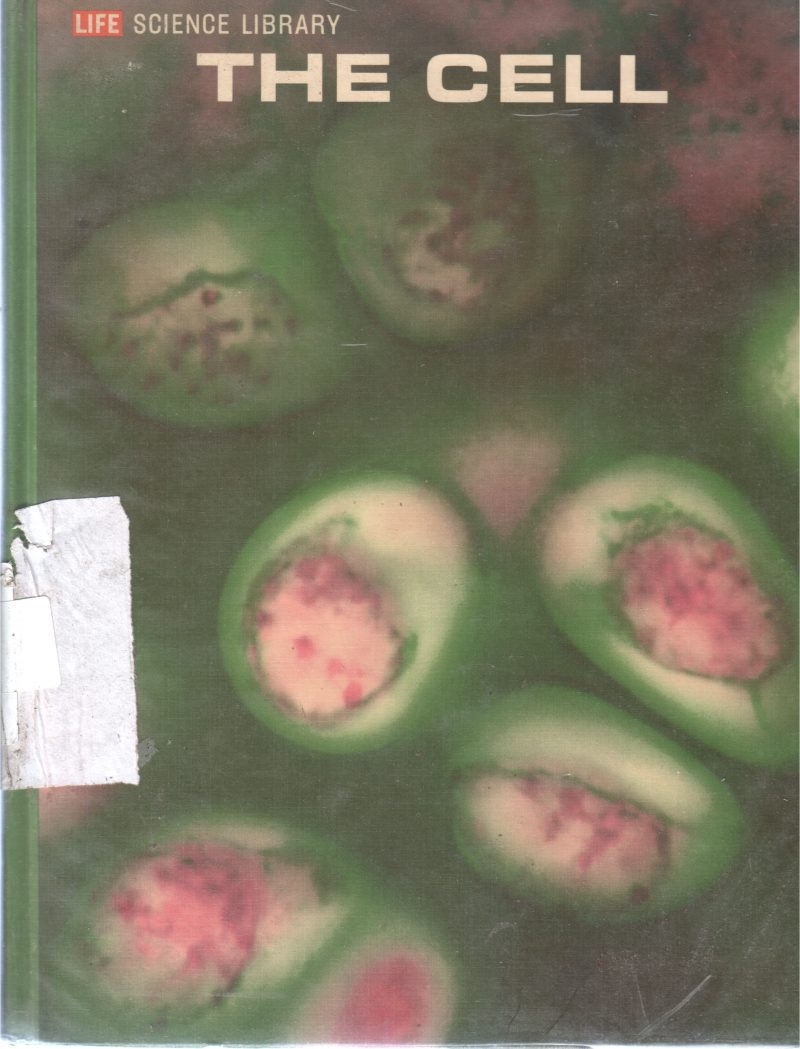 THE CELL BY JOHN PFEIFFER
