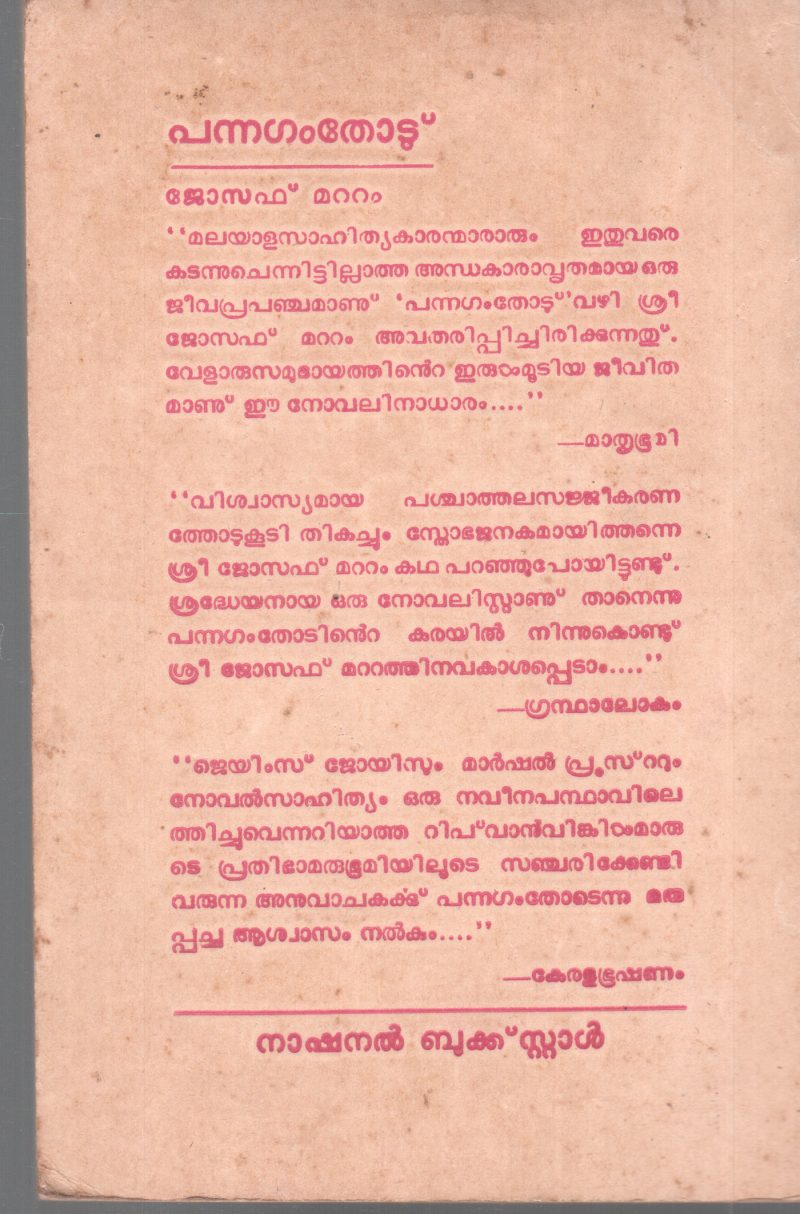 PANNAGAM THODU BY JOSEPH MATTAM - Image 2