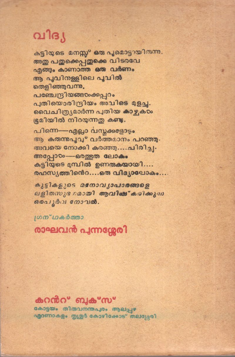 VIDHYA BY RAGHAVAN PUNNASSERY - Image 2