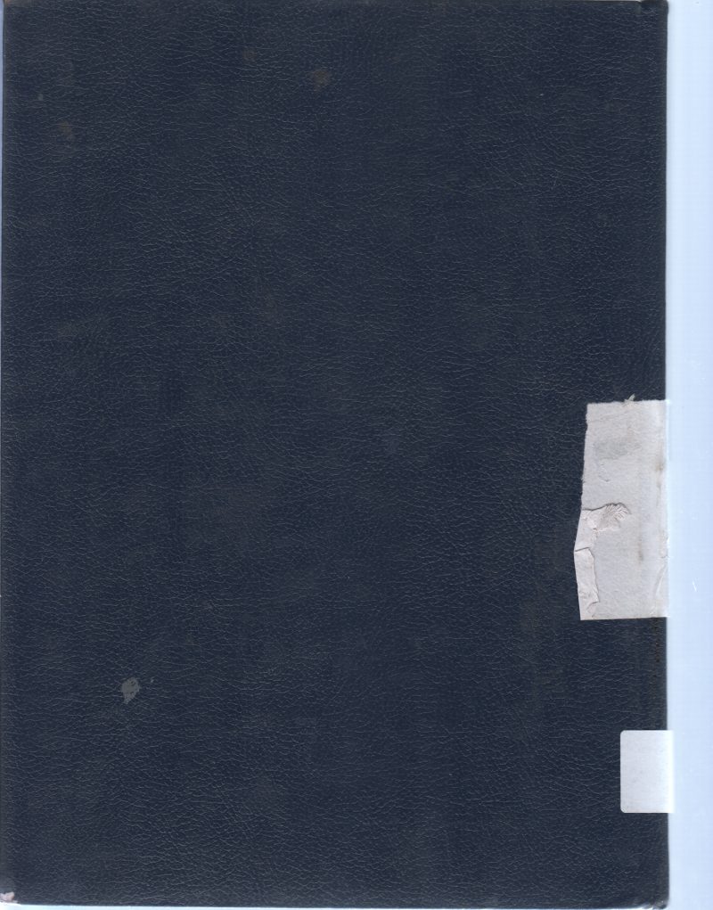 BEYOND THE HORIZON BY MALCOLM ROSS MACDONALD - Image 2