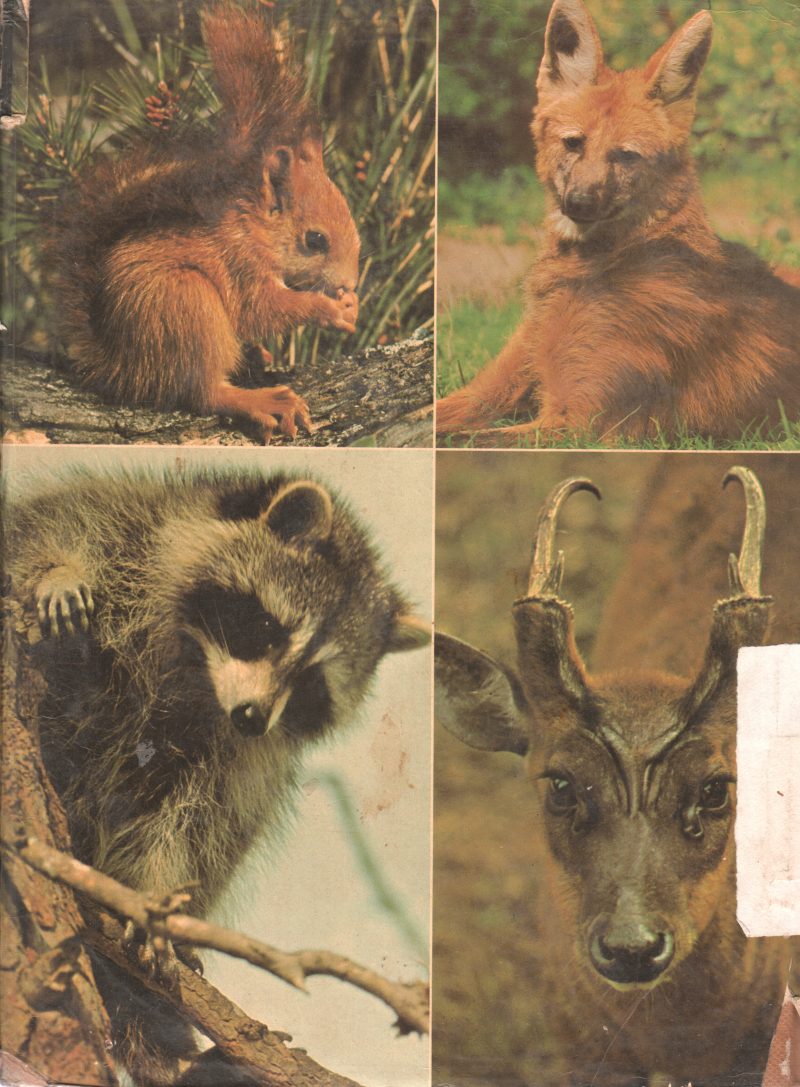 CREATURES OF THE LAND BY PETER BROWN - Image 2
