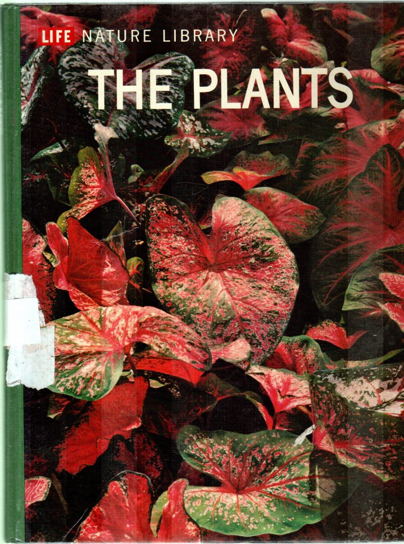 THE PLANTS BY FRITS W.WENT