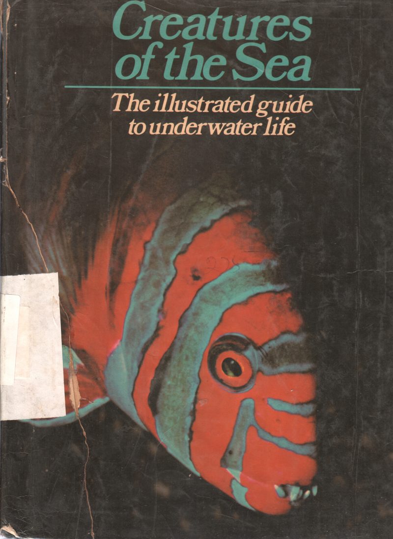 CREATURES OF THE SEA BY PETER BOWEN