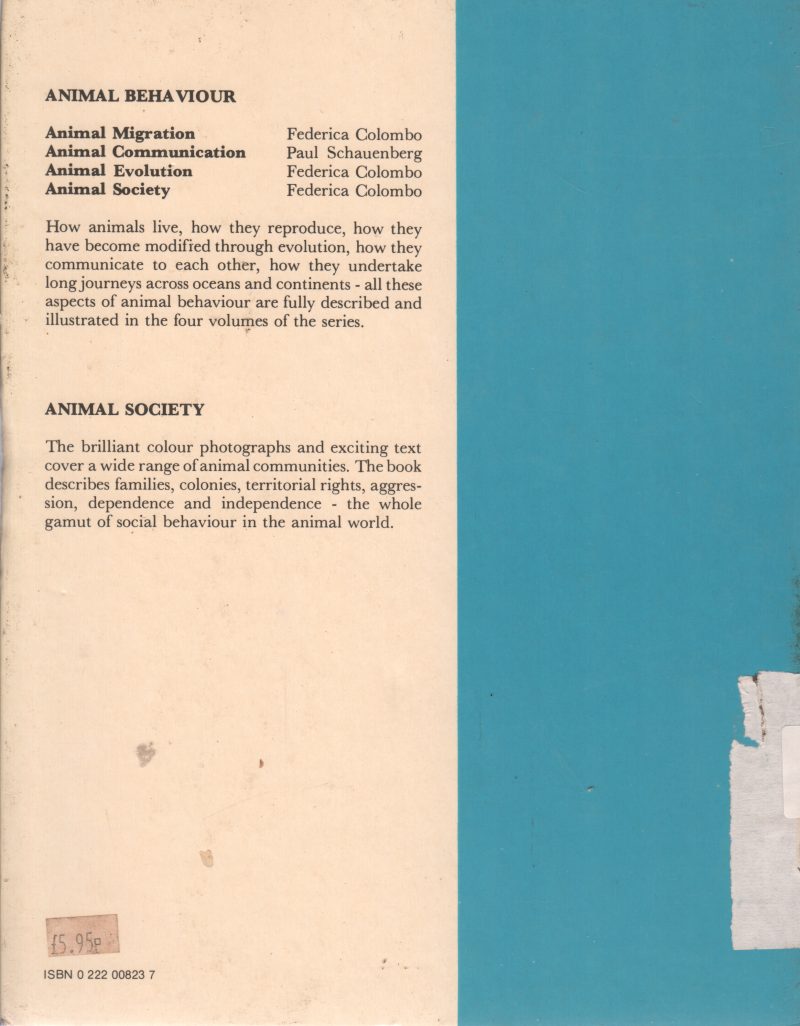 ANIMAL SOCIETY BY BURKE - Image 2