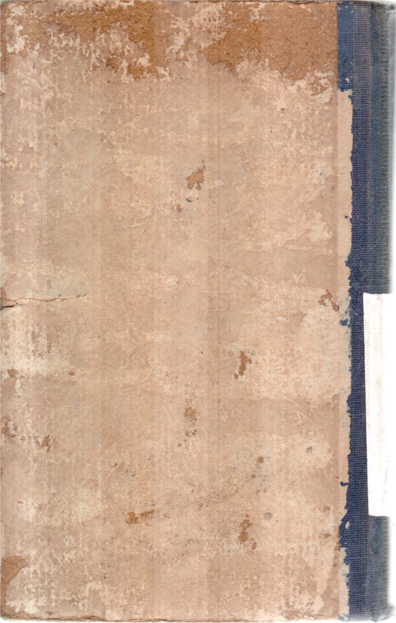 HISTORY OF HINDI LITERATURE - Image 2