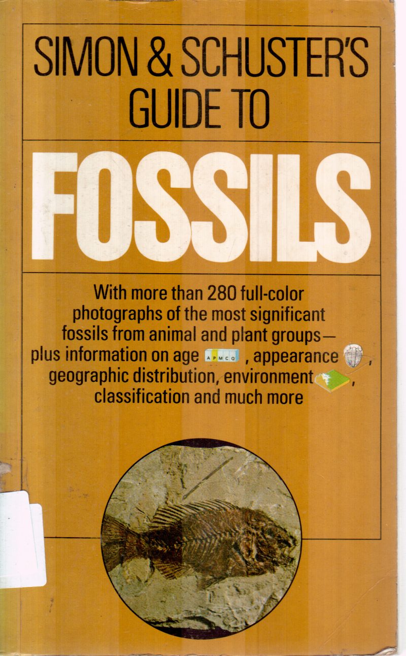 FOSSILS BY SIMON & SCHUSTER