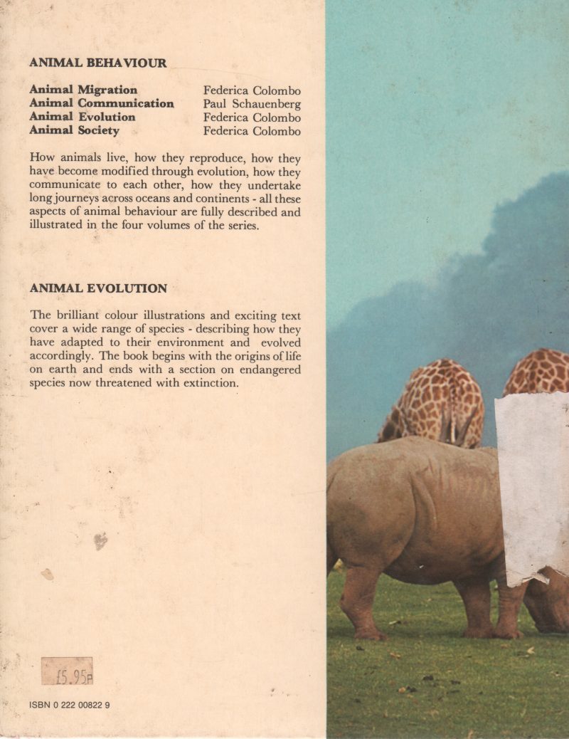 ANIMAL EVOLUTION BY BURKE - Image 2