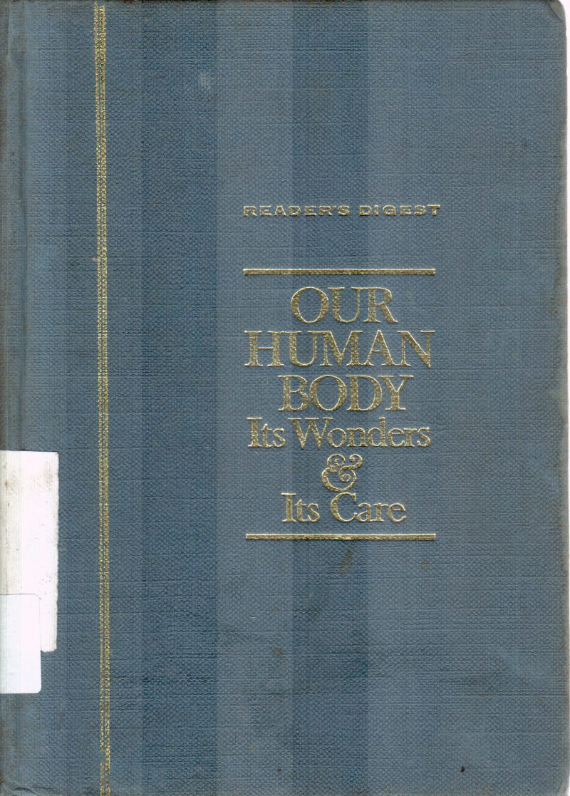 OUR HUMAN BODY - Image 2